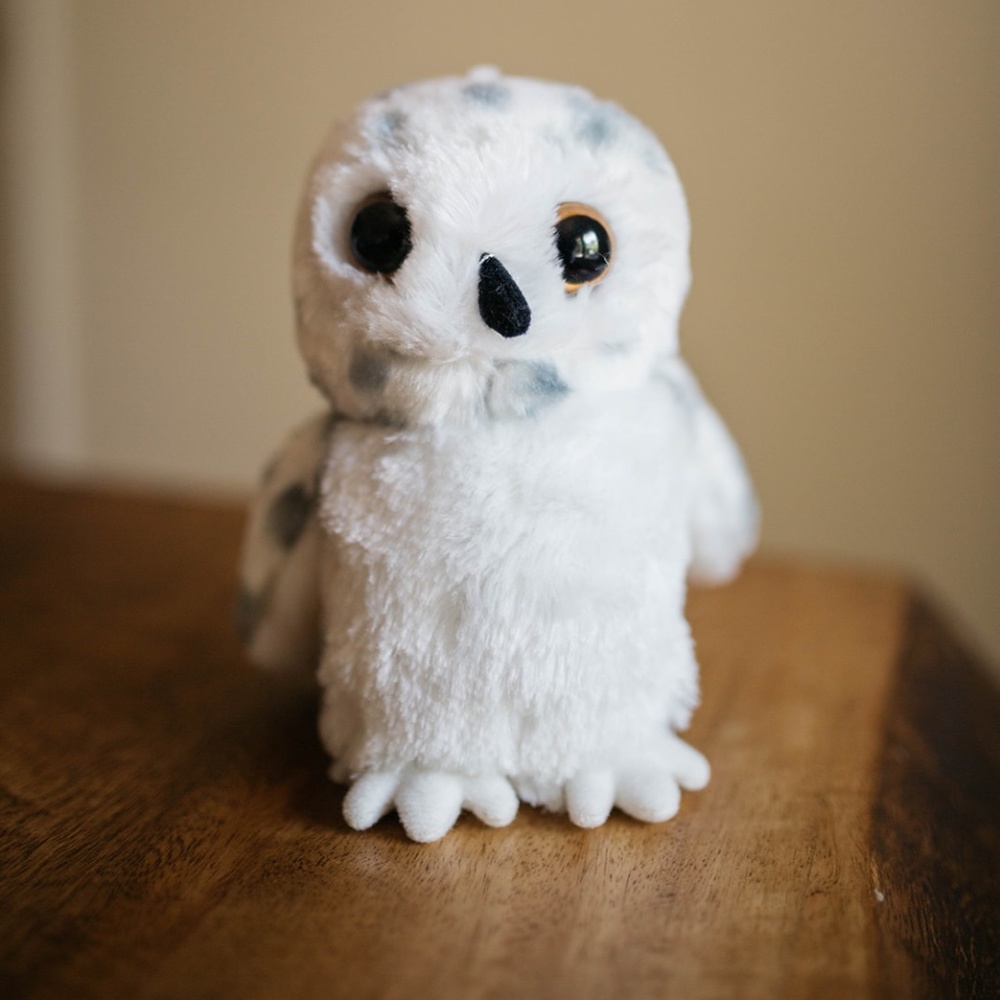 Harry Potter Hedwig Owl